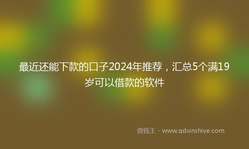 最近还能下款的口子2024年推荐，汇总5个满19岁可以借款的软件