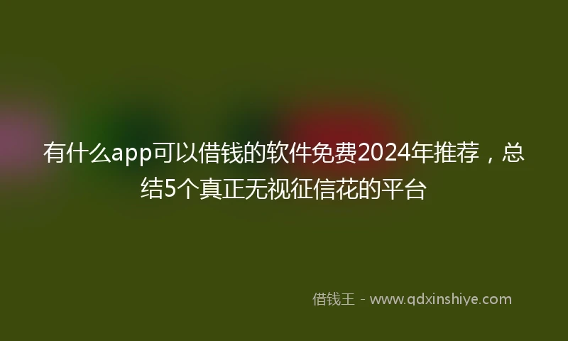 有什么app可以借钱的软件免费2024年推荐,总结5个真正无视征信花的平台
