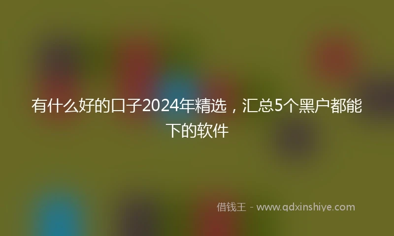 有什么好的口子2024年精选,汇总5个黑户都能下的软件