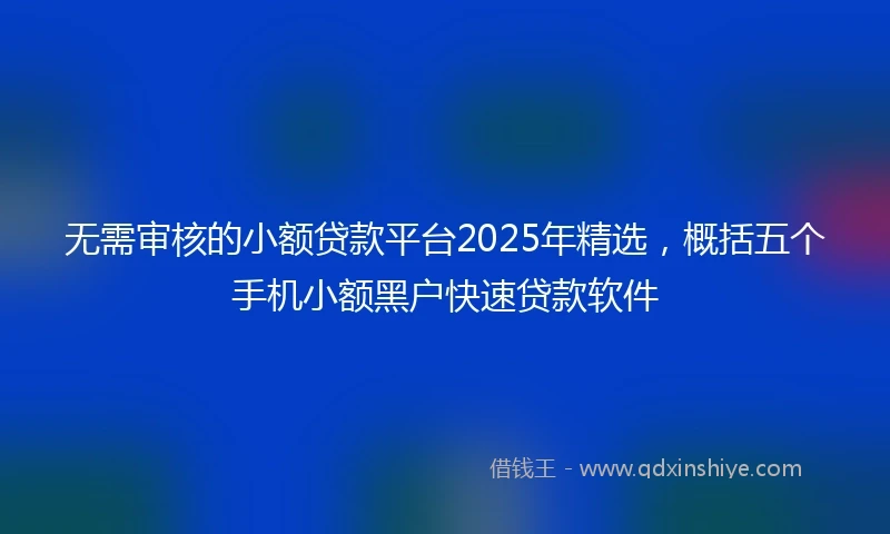 无需审核的小额贷款平台2025年精选，概括五个手机小额黑户快速贷款软件