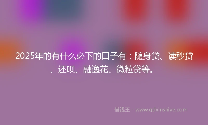 2025年的有什么必下的口子有：随身贷、读秒贷、还呗、融逸花、微粒贷等。