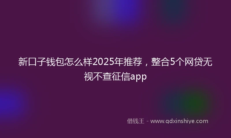 新口子钱包怎么样2025年推荐，整合5个网贷无视不查征信app