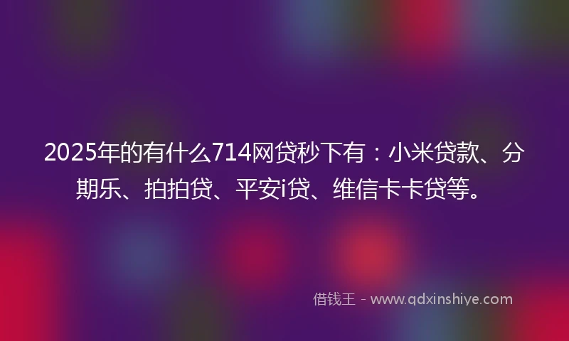 2025年的有什么714网贷秒下有：小米贷款、分期乐、拍拍贷、平安i贷、维信卡卡贷等。