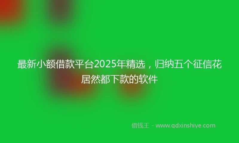 最新小额借款平台2025年精选，归纳五个征信花居然都下款的软件