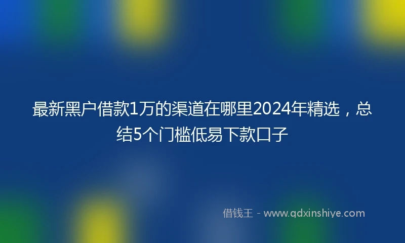 最新黑户借款1万的渠道在哪里2024年精选，总结5个门槛低易下款口子