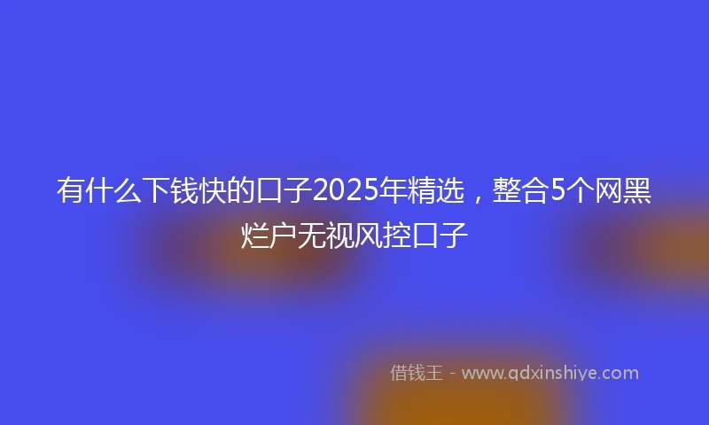 有什么下钱快的口子2025年精选,整合5个网黑烂户无视风控口子