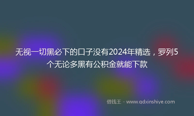 无视一切黑必下的口子没有2024年精选，罗列5个无论多黑有公积金就能下款