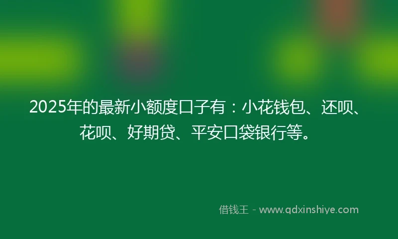 2025年的最新小额度口子有：小花钱包、还呗、花呗、好期贷、平安口袋银行等。