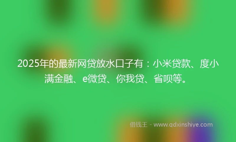 2025年的最新网贷放水口子有：小米贷款、度小满金融、e微贷、你我贷、省呗等。