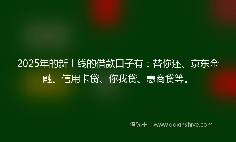 2025年的新上线的借款口子有：替你还、京东金融、信用卡贷、你我贷、惠商贷等。