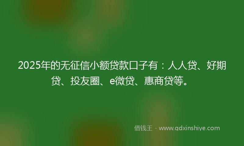 2025年的无征信小额贷款口子有：人人贷、好期贷、投友圈、e微贷、惠商贷等。