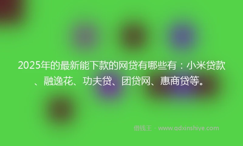 2025年的最新能下款的网贷有哪些有：小米贷款、融逸花、功夫贷、团贷网、惠商贷等。