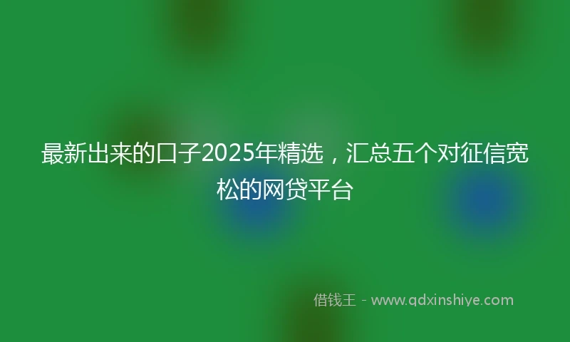 最新出来的口子2025年精选，汇总五个对征信宽松的网贷平台