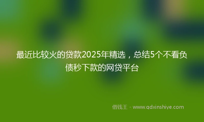 最近比较火的贷款2025年精选，总结5个不看负债秒下款的网贷平台