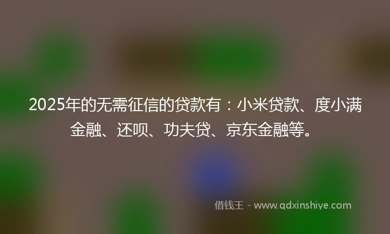 2025年的无需征信的贷款有：小米贷款、度小满金融、还呗、功夫贷、京东金融等。