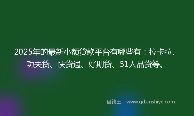 2025年的最新小额贷款平台有哪些有：拉卡拉、功夫贷、快贷通、好期贷、51人品贷等。