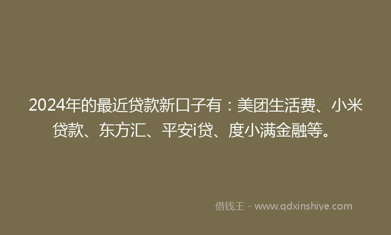 2024年的最近贷款新口子有：美团生活费、小米贷款、东方汇、平安i贷、度小满金融等。