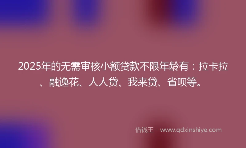 2025年的无需审核小额贷款不限年龄有：拉卡拉、融逸花、人人贷、我来贷、省呗等。