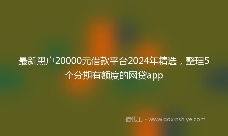 最新黑户20000元借款平台2024年精选，整理5个分期有额度的网贷app