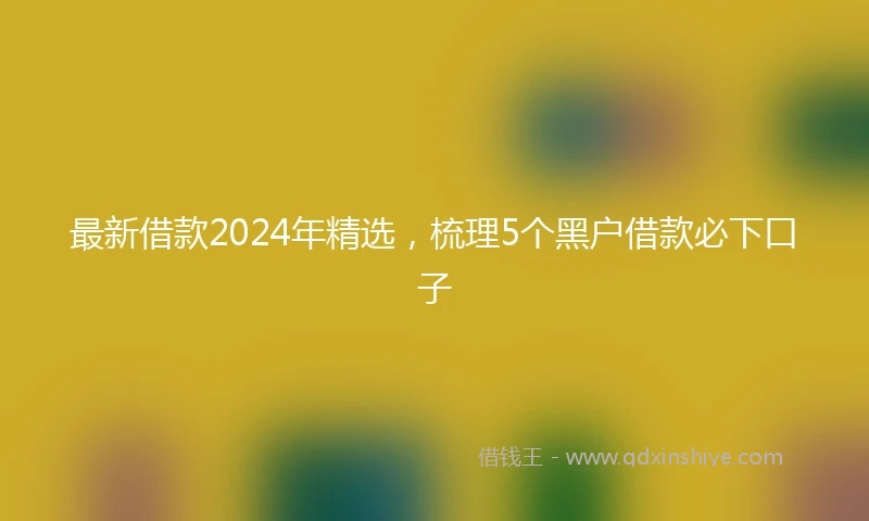 最新借款2024年精选，梳理5个黑户借款必下口子