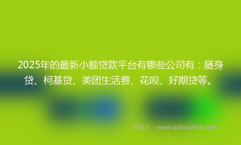 2025年的最新小额贷款平台有哪些公司有：随身贷、柯基贷、美团生活费、花呗、好期贷等。