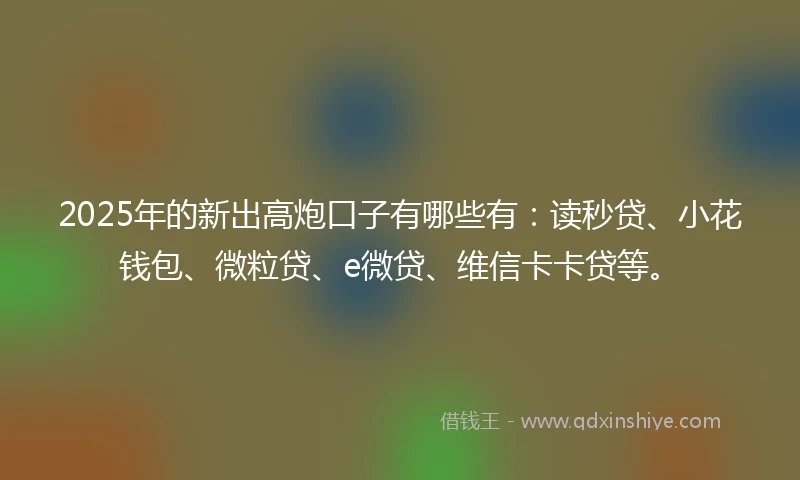 2025年的新出高炮口子有哪些有：读秒贷、小花钱包、微粒贷、e微贷、维信卡卡贷等。