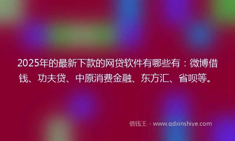 2025年的最新下款的网贷软件有哪些有：微博借钱、功夫贷、中原消费金融、东方汇、省呗等。