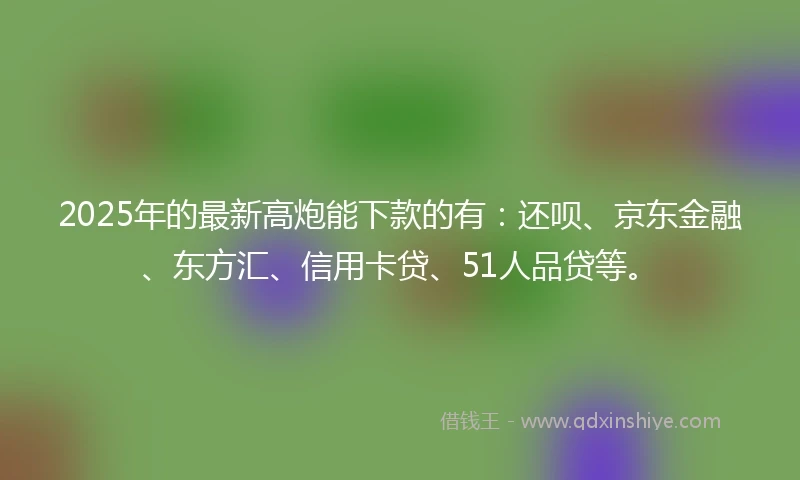 2025年的最新高炮能下款的有：还呗、京东金融、东方汇、信用卡贷、51人品贷等。