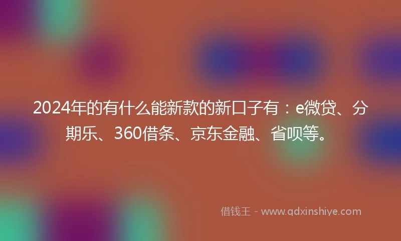 2024年的有什么能新款的新口子有：e微贷、分期乐、360借条、京东金融、省呗等。