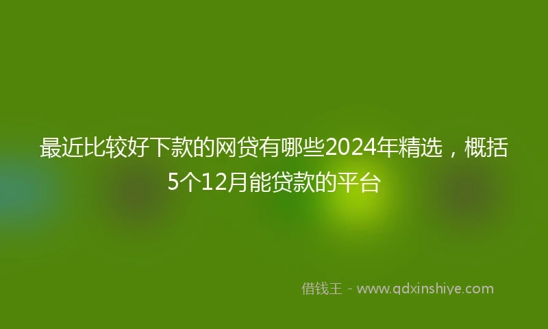 最近比较好下款的网贷有哪些2024年精选，概括5个12月能贷款的平台