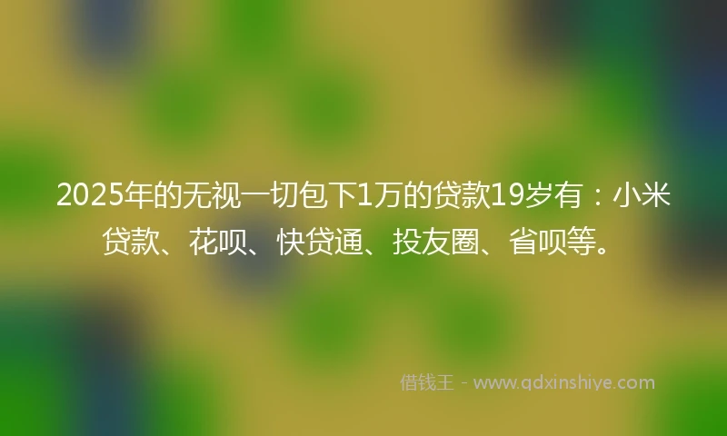 2025年的无视一切包下1万的贷款19岁有：小米贷款、花呗、快贷通、投友圈、省呗等。