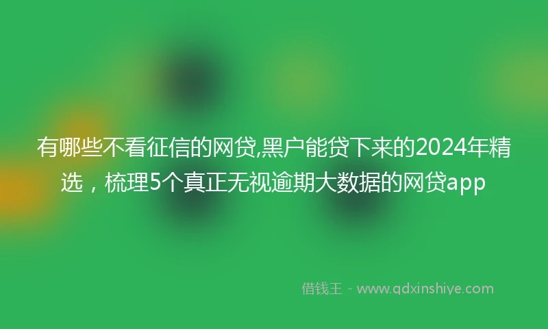 有哪些不看征信的网贷,黑户能贷下来的2024年精选，梳理5个真正无视逾期大数据的网贷app