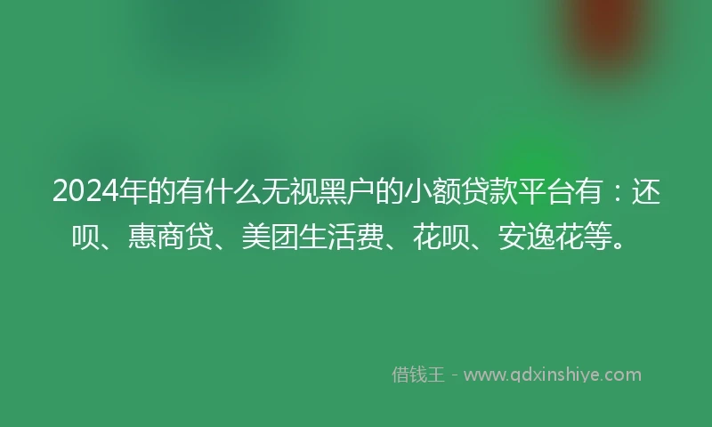2024年的有什么无视黑户的小额贷款平台有：还呗、惠商贷、美团生活费、花呗、安逸花等。