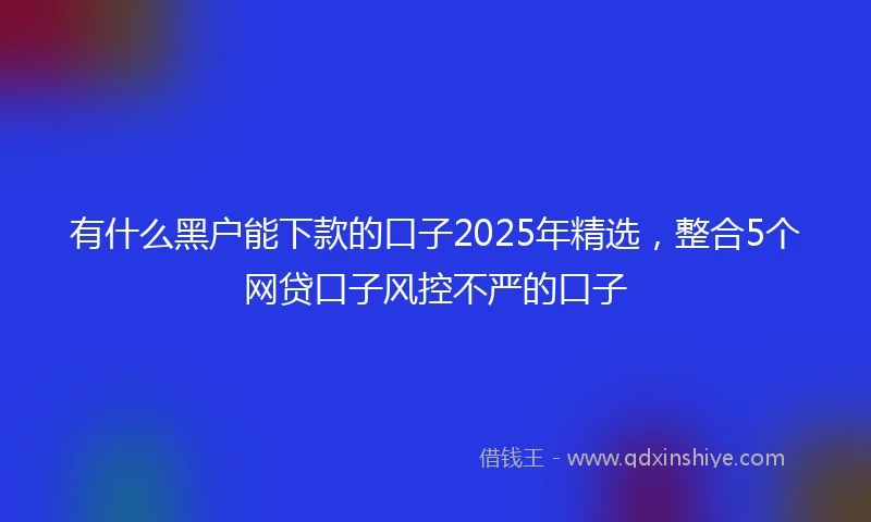 有什么黑户能下款的口子2025年精选，整合5个网贷口子风控不严的口子