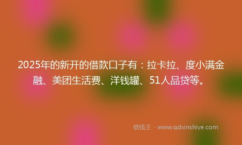 2025年的新开的借款口子有：拉卡拉、度小满金融、美团生活费、洋钱罐、51人品贷等。