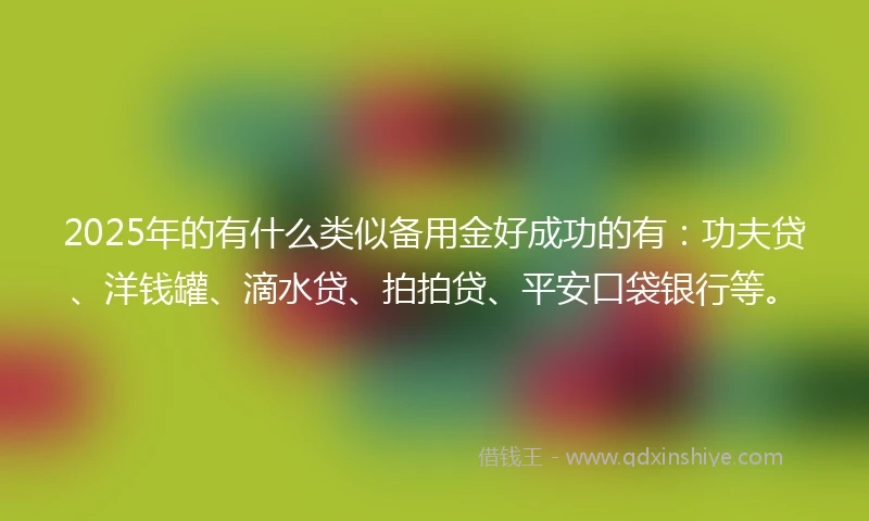2025年的有什么类似备用金好成功的有：功夫贷、洋钱罐、滴水贷、拍拍贷、平安口袋银行等。