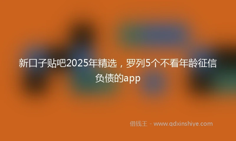 新口子贴吧2025年精选，罗列5个不看年龄征信负债的app
