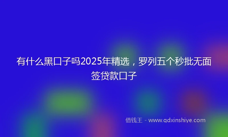 有什么黑口子吗2025年精选，罗列五个秒批无面签贷款口子