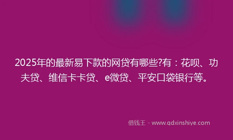 2025年的最新易下款的网贷有哪些?有：花呗、功夫贷、维信卡卡贷、e微贷、平安口袋银行等。