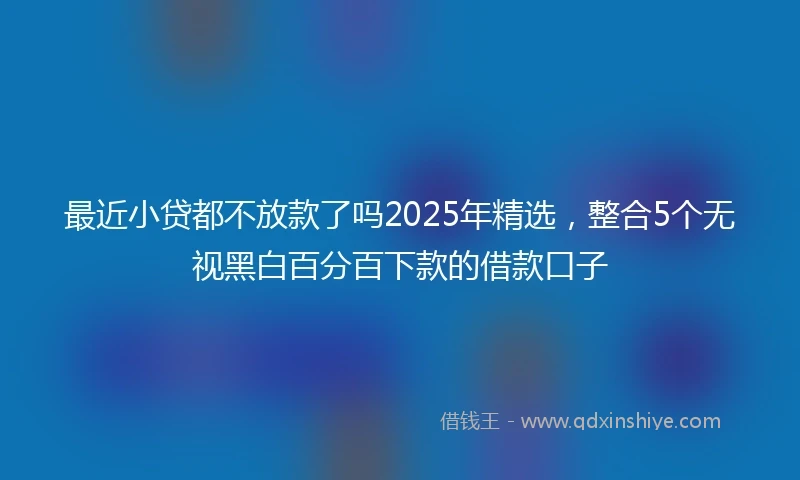 最近小贷都不放款了吗2025年精选，整合5个无视黑白百分百下款的借款口子