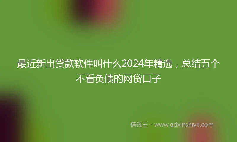 最近新出贷款软件叫什么2024年精选，总结五个不看负债的网贷口子