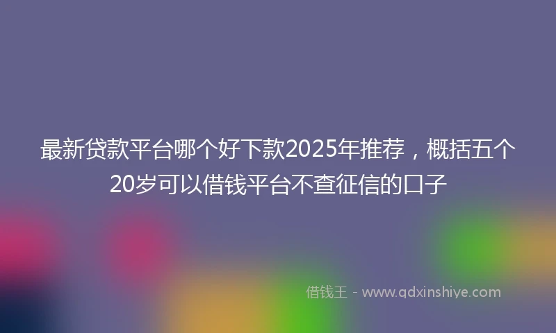 最新贷款平台哪个好下款2025年推荐，概括五个20岁可以借钱平台不查征信的口子