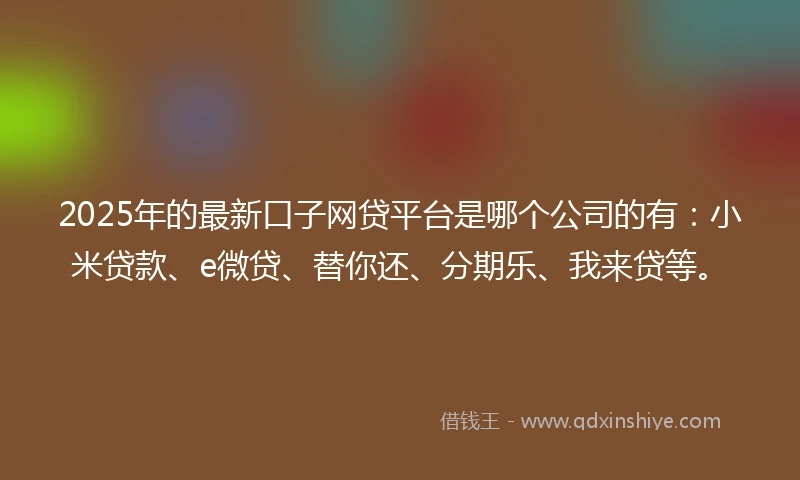 2025年的最新口子网贷平台是哪个公司的有：小米贷款、e微贷、替你还、分期乐、我来贷等。