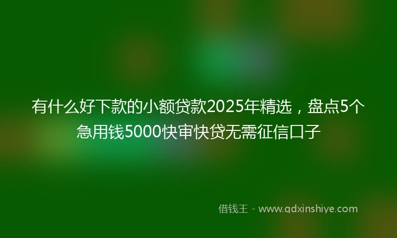 有什么好下款的小额贷款2025年精选，盘点5个急用钱5000快审快贷无需征信口子