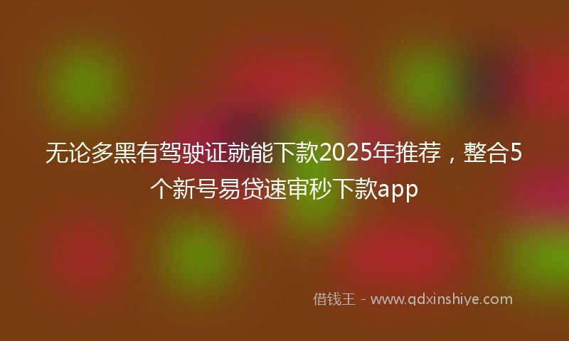 无论多黑有驾驶证就能下款2025年推荐，整合5个新号易贷速审秒下款app
