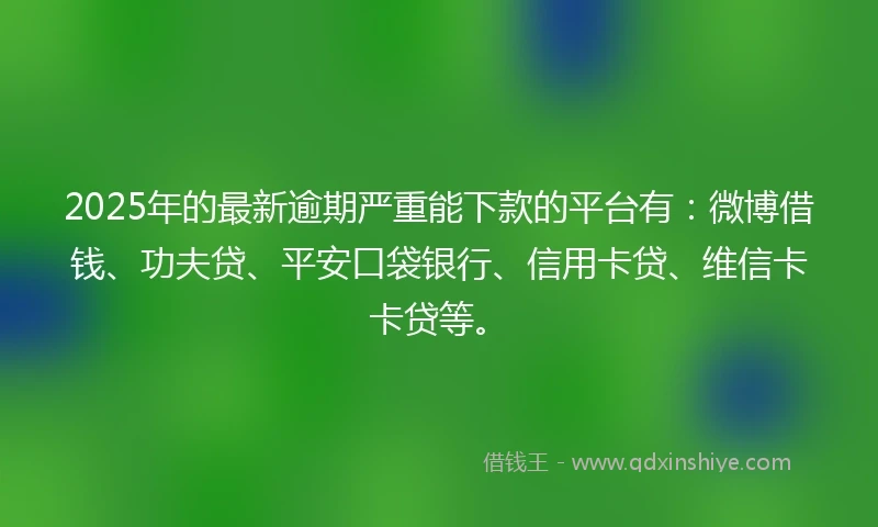 2025年的最新逾期严重能下款的平台有：微博借钱、功夫贷、平安口袋银行、信用卡贷、维信卡卡贷等。