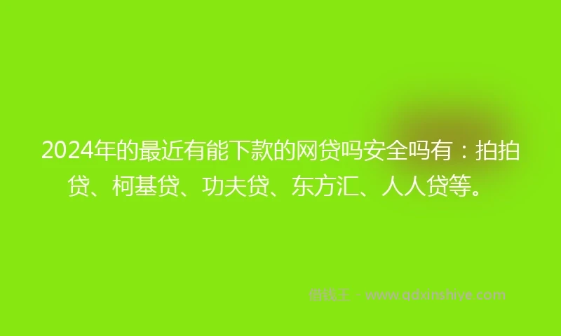 2024年的最近有能下款的网贷吗安全吗有：拍拍贷、柯基贷、功夫贷、东方汇、人人贷等。