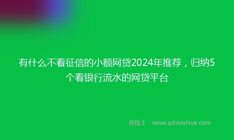有什么不看征信的小额网贷2024年推荐，归纳5个看银行流水的网贷平台