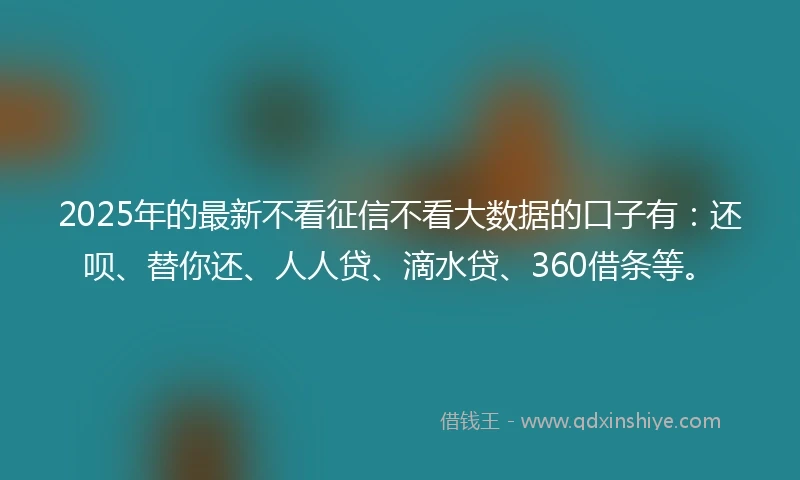 2025年的最新不看征信不看大数据的口子有：还呗、替你还、人人贷、滴水贷、360借条等。