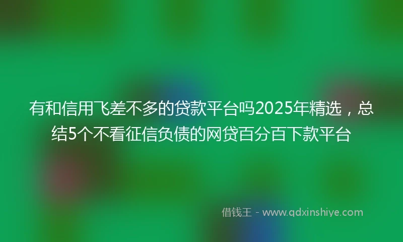 有和信用飞差不多的贷款平台吗2025年精选，总结5个不看征信负债的网贷百分百下款平台